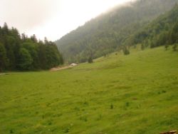 2013-06-22_Hirschhoerndl_Jochberg (261).JPG